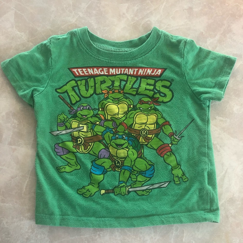 Teenage Mutant Ninja Turtles 12 months